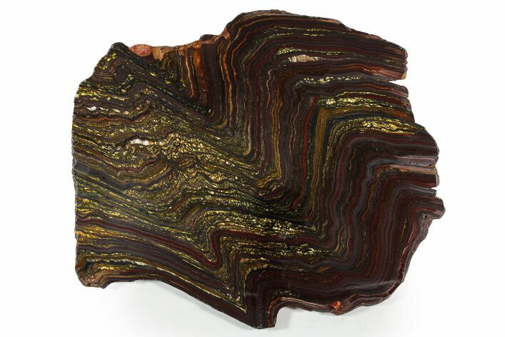 Polished Tiger Iron Stromatolite Slab - Billion Years #351978